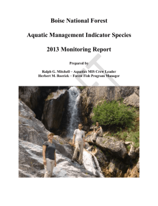 Boise National Forest  Aquatic Management Indicator Species 2013 Monitoring Report