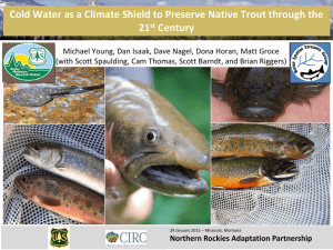 Cold Water as a Climate Shield to Preserve Native Trout... 21 Century