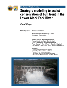 Strategic modeling to assist conservation of bull trout in the Final Report