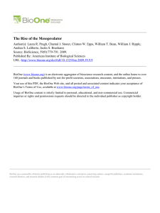The Rise of the Mesopredator