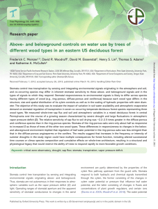 Above- and belowground controls on water use by trees of