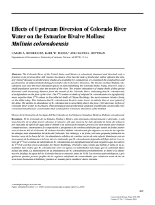 Effects of Upstream Diversion of Colorado River Mulinia coloradoensis