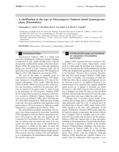 INTRODUCTION TYPIFICATION AND AUTHORSHIP NILSSONIA TENUINERVIS NATHORST