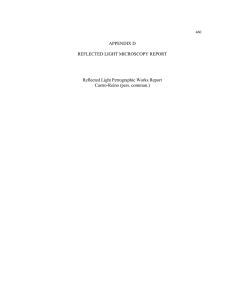 APPENDIX D  REFLECTED LIGHT MICROSCOPY REPORT Reflected Light Petrographic Works Report