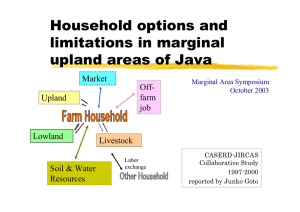 Household options and limitations in marginal upland areas of Java Market