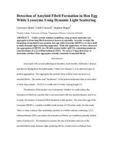 Detection of Amyloid Fibril Formation in Hen Egg  Lawrence Dunn
