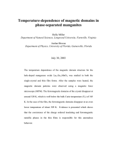 Temperature-dependence of magnetic domains in phase-separated manganites