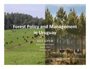 Forest Policy and Management  in Uruguay 2012 SOFEW Charlotte, NC