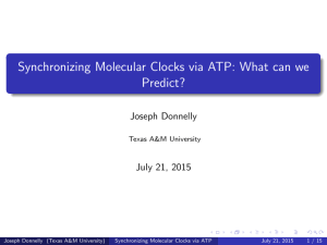Synchronizing Molecular Clocks via ATP: What can we Predict? Joseph Donnelly