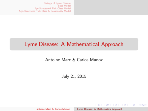 Biology of Lyme Disease Base Model Age-Structured Tick Class Model