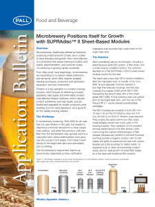 Microbrewery Positions Itself for Growth with SUPRAdisc II Sheet-Based Modules ™