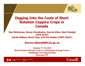 Digging Into the Costs of Short Rotation Coppice Crops in Canada