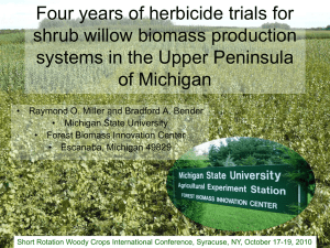 Four years of herbicide trials for shrub willow biomass production of Michigan