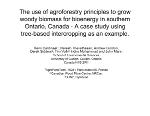 The use of agroforestry principles to grow