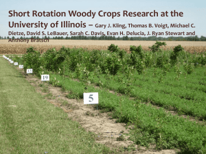 Short Rotation Woody Crops Research at the University of Illinois –