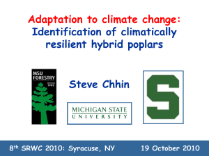 Adaptation to climate change: Identification of climatically resilient hybrid poplars Steve Chhin