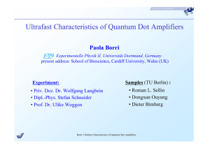 Ultrafast Characteristics of Quantum Dot Amplifiers Paola Borri • Dipl.-Phys. Stefan Schneider