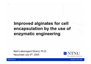 Improved alginates for cell encapsulation by the use of enzymatic engineering