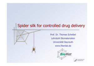 Spider silk for controlled drug delivery Prof. Dr. Thomas Scheibel Lehrstuhl Biomaterialien