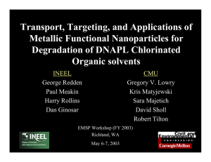 Transport, Targeting, and Applications of Metallic Functional Nanoparticles for