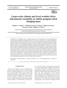 Large-scale climate and local weather drive fledging mass