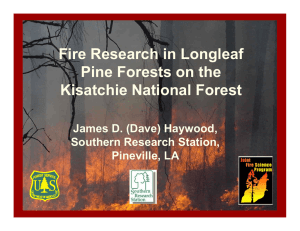 Fire Research in Longleaf Pine Forests on the Kisatchie National Forest