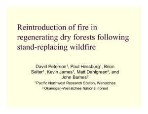 Reintroduction of fire in regenerating dry forests following stand-replacing wildfire David Peterson