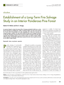 Establishment of a Long-Term Fire Salvage silviculture