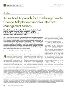 A Practical Approach for Translating Climate Change Adaptation Principles into Forest