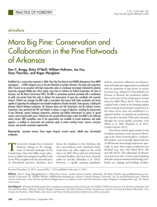 Moro Big Pine: Conservation and Collaboration in the Pine Flatwoods of Arkansas silviculture