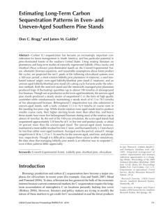 Estimating Long-Term Carbon Sequestration Patterns in Even- and Uneven-Aged Southern Pine Stands