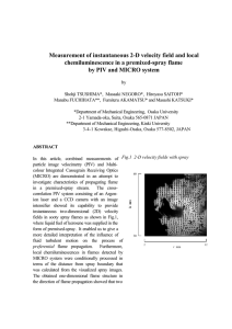 Measurement of instantaneous 2-D velocity field and local