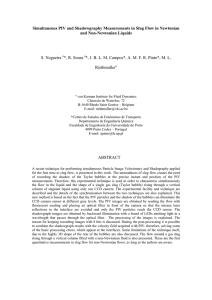 Simultaneous PIV and Shadowgraphy Measurements in Slug Flow in Newtonian