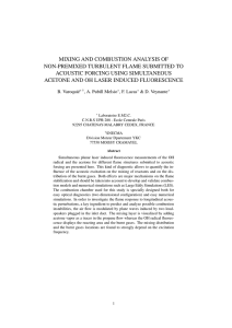 MIXING AND COMBUSTION ANALYSIS OF NON-PREMIXED TURBULENT FLAME SUBMITTED TO