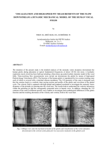 VISUALIZATION AND HIGH-SPEED PIV MEASUREMENTS OF THE FLOW