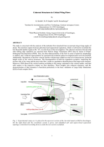 Coherent Structures in Critical Wing Flows