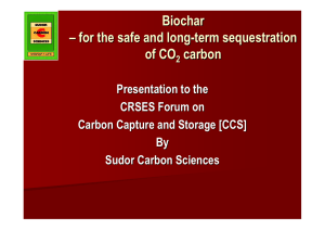 Biochar – for the safe and long -
