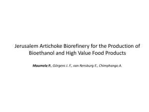Jerusalem Artichoke Biorefinery for the Production of  Maumela P.