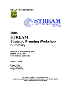 STREAM  2004 Strategic Planning Workshop