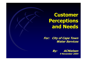 Customer Perceptions and Needs For:   City of Cape Town