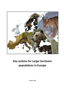 Key actions for Large Carnivore populations in Europe