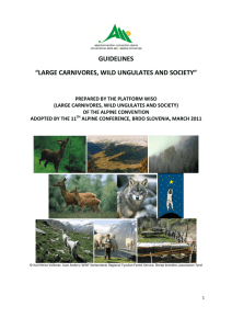GUIDELINES “LARGE CARNIVORES, WILD UNGULATES AND SOCIETY”
