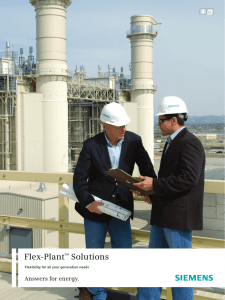 Flex-Plant Solutions Answers for energy. ™