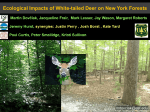 Ecological Impacts of White-tailed Deer on New York Forests