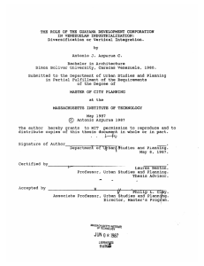 GUAYANA DEVELOPMENT VENEZUELAN Diversification or  Vertical Integration. J.