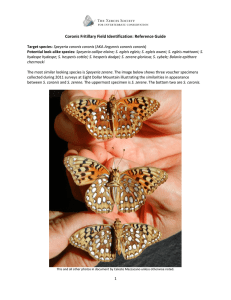 Coronis Fritillary Field Identification: Reference Guide