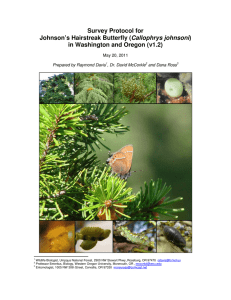 Survey Protocol for Callophrys johnsoni in Washington and Oregon (v1.2)