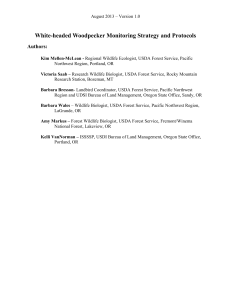 White-headed Woodpecker Monitoring Strategy and Protocols  Authors: