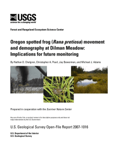 Rana pretiosa and demography at Dilman Meadow: Implications for future monitoring