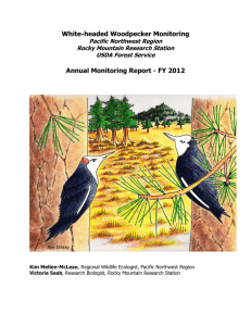White-headed Woodpecker Monitoring  Annual Monitoring Report - FY 2012 Pacific Northwest Region